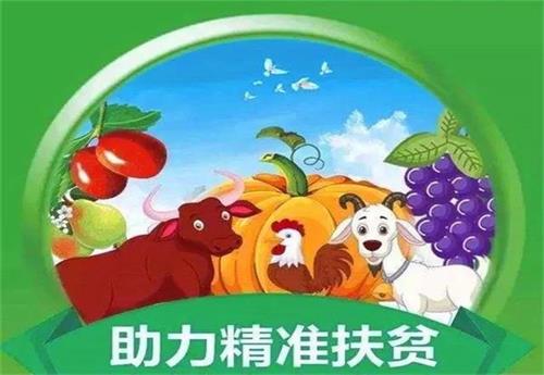 摩域平台文体卫生产业设备集采综合服务平台